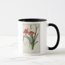 Search for hemerocallis mugs Botanical