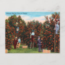 Search for time unit postcards Travel