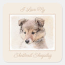 Search for shetland sheepdog stickers Miniature collie