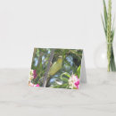 Search for wildlife get well cards Bird