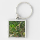 Search for lit key rings Nature