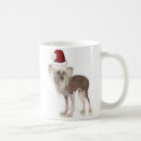 Search for chinese crested mugs Puppies