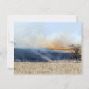 Search for prairie postcards Flint hills
