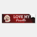 Search for poodle bumper stickers Pets
