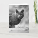 Search for black cat birthday cards Kitten