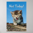 Search for facial posters Humour