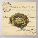 Search for brown eggs posters Nest