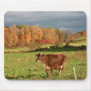 Search for cow mousepads Autumn