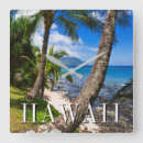 Search for palm tree wall Island
