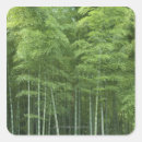 Search for bamboo forest stickers Japan