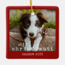 Search for pup christmas tree decorations Dogs