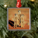 Search for meerkat christmas tree decorations Mongoose