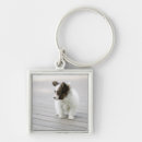 Search for papillons key rings Animals