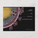 Search for cells postcards Colour