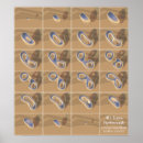 Search for renderings posters Fractals