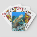 Search for sea turtle playing cards Chelonia