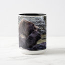 Search for grizzly mugs Bear