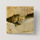 Search for curious badges Animal