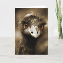 Search for ostrich cards Nature