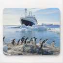 Search for horizontal mousepads Antarctica