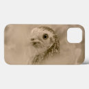 Search for fowl cases Animal