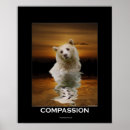 Search for black and white bear posters Animals