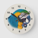 Search for blue and gold macaw posters Nature
