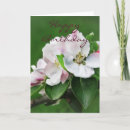 Search for beautiful blossom cards Nature