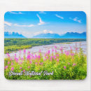 Search for denali mousepads Alaska