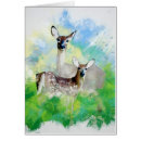 Search for mule deer postcards Fawn
