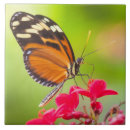 Search for wings tiles Macro