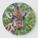 Search for giraffe clocks Spotted