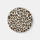 Search for jaguar magnets Pattern