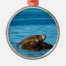 Search for aquatic christmas tree decorations Wildlife
