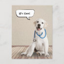 Search for stethoscope postcards Doctor