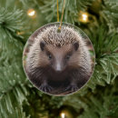 Search for anteater christmas tree decorations Cute
