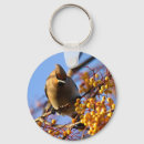Search for attractive key rings Sky