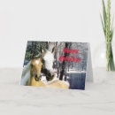 Search for foal christmas cards Equestrian