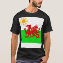 Search for welsh souvenirs Graphic
