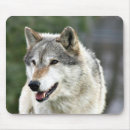 Search for grey wolf mousepads Lobo