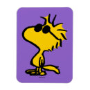 Search for cool rectangular magnets Cute