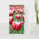 Search for red tulips birthday cards Garden
