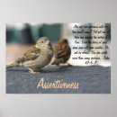 Search for assert Quote