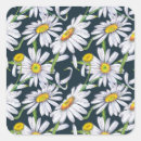 Search for chamomile flowers stickers Summer