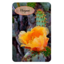Search for pear magnets Arizona
