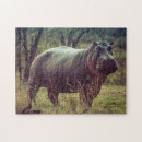 Search for hippo puzzles Nature