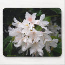 Search for rhododendron mousepads Azalea