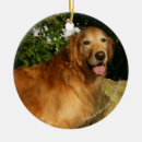 Search for flat coated retriever christmas tree decorations Panting