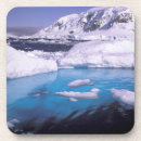 Search for antarctic barware Glacier