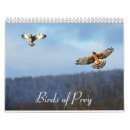 Search for birds of prey calendars Osprey